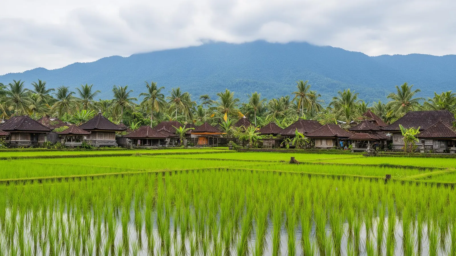 Cepaka area in Bali